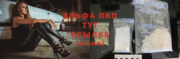 мяу мяу мука Богданович